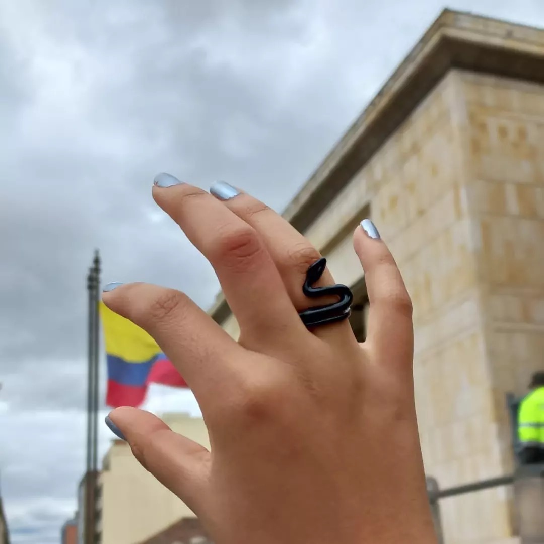 Anillo Snake